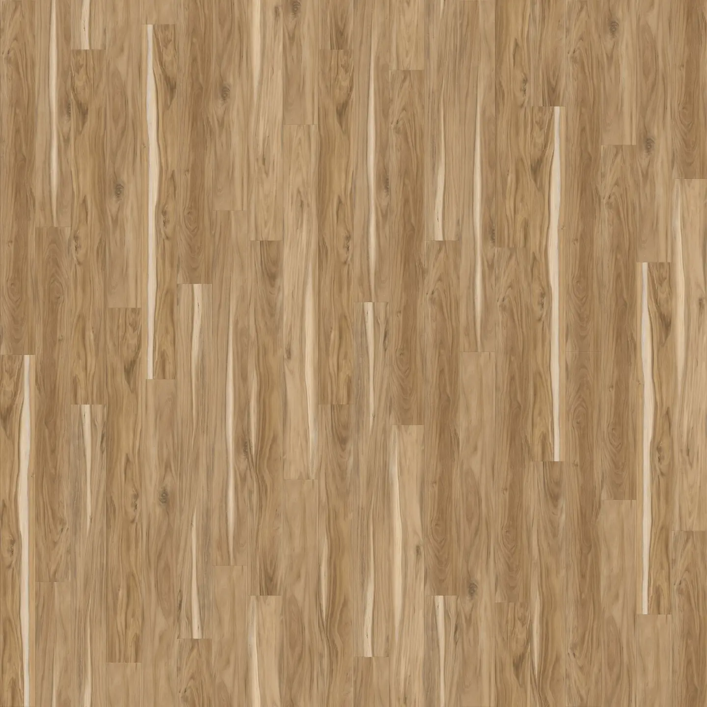 Coastal Eucalyptus flooring installed in modern home